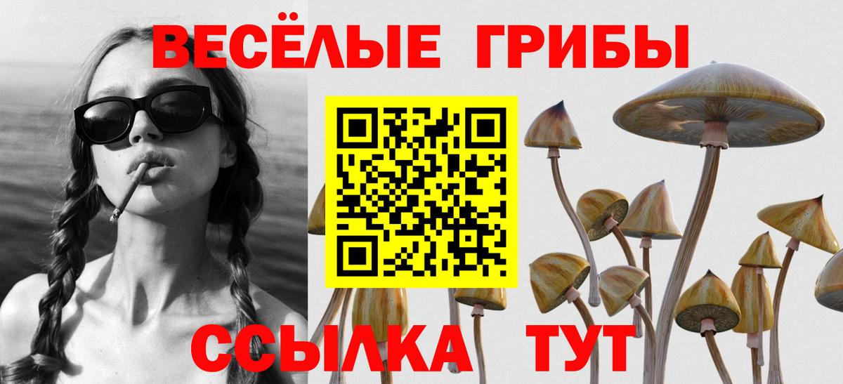 Псилоцибиновые грибы Cubensis Керчь