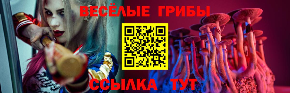 Галлюциногенные грибы Cubensis  Вход с VPN  Керчь 